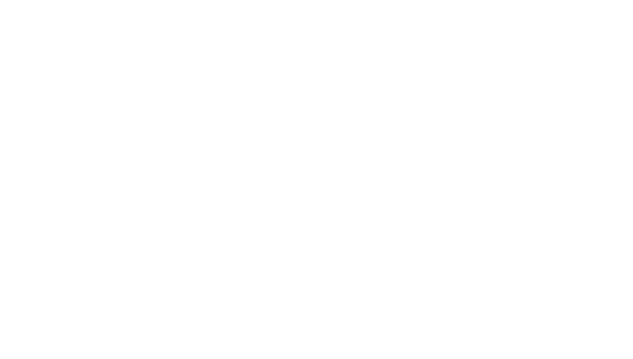 GR Plus